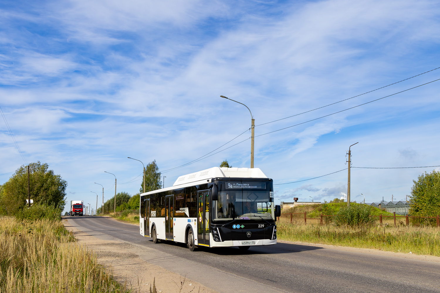 Новгородская область, ЛиАЗ-5292.67 (CNG) № 229