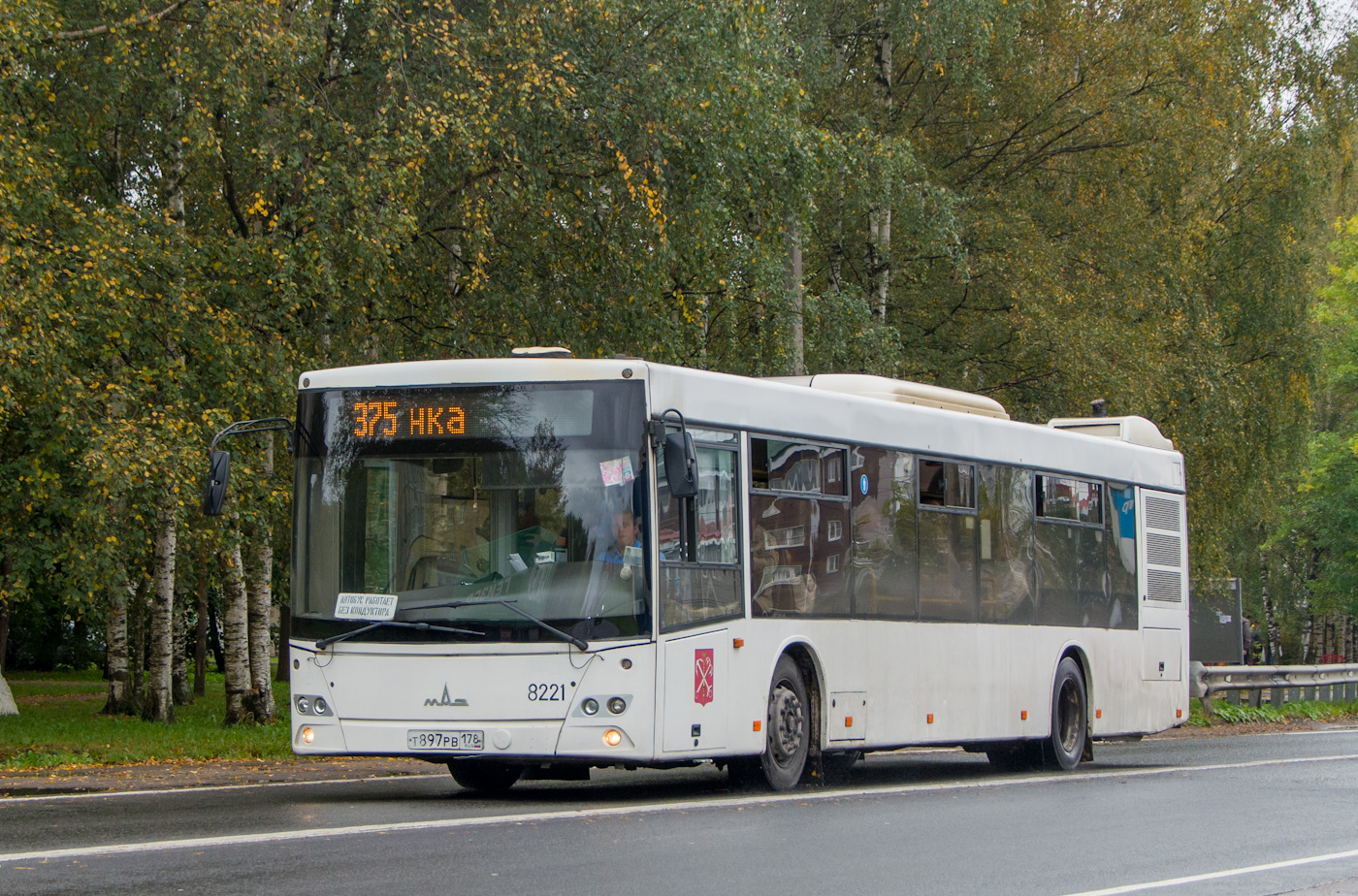 Санкт-Петербург, МАЗ-203.085 № 8221