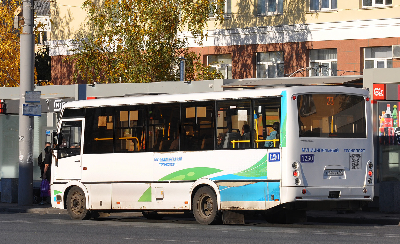 Омская область, ПАЗ-320414-04 "Вектор" (1-2) № 1230