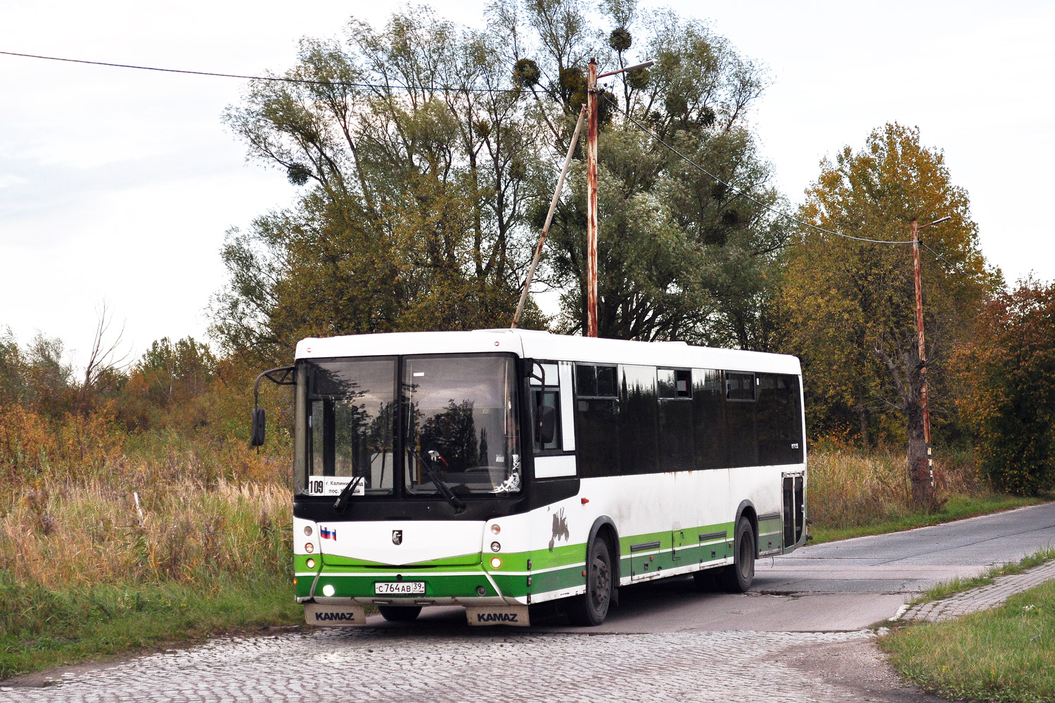 Калининградская область, НефАЗ-5299-11-42 № С 764 АВ 39