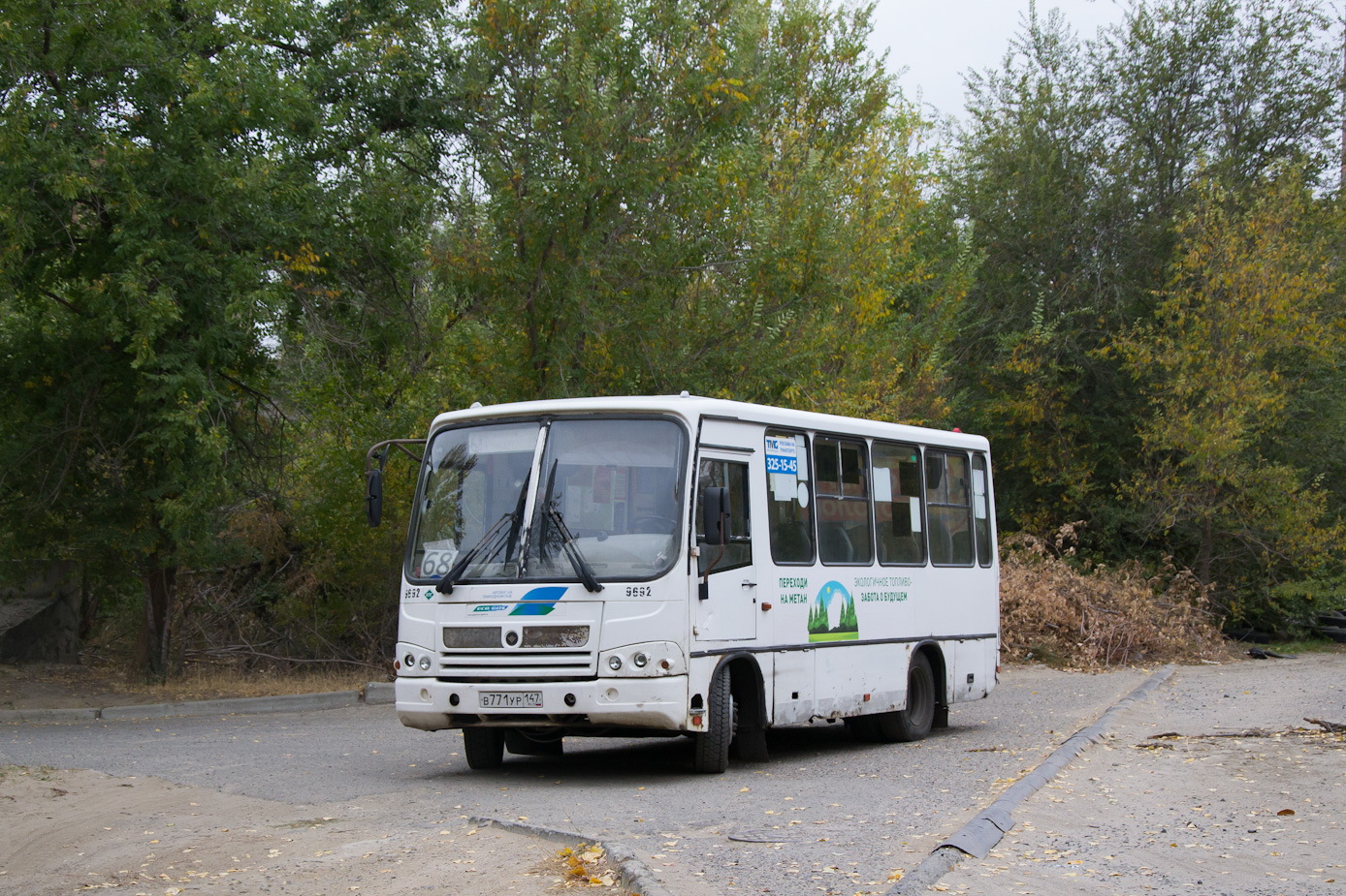 Волгоградская область, ПАЗ-320302-11 № 9692