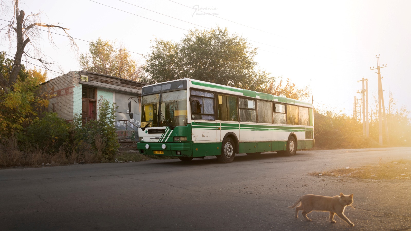 Saratov region, Ikarus 415.33 № АС 692 64