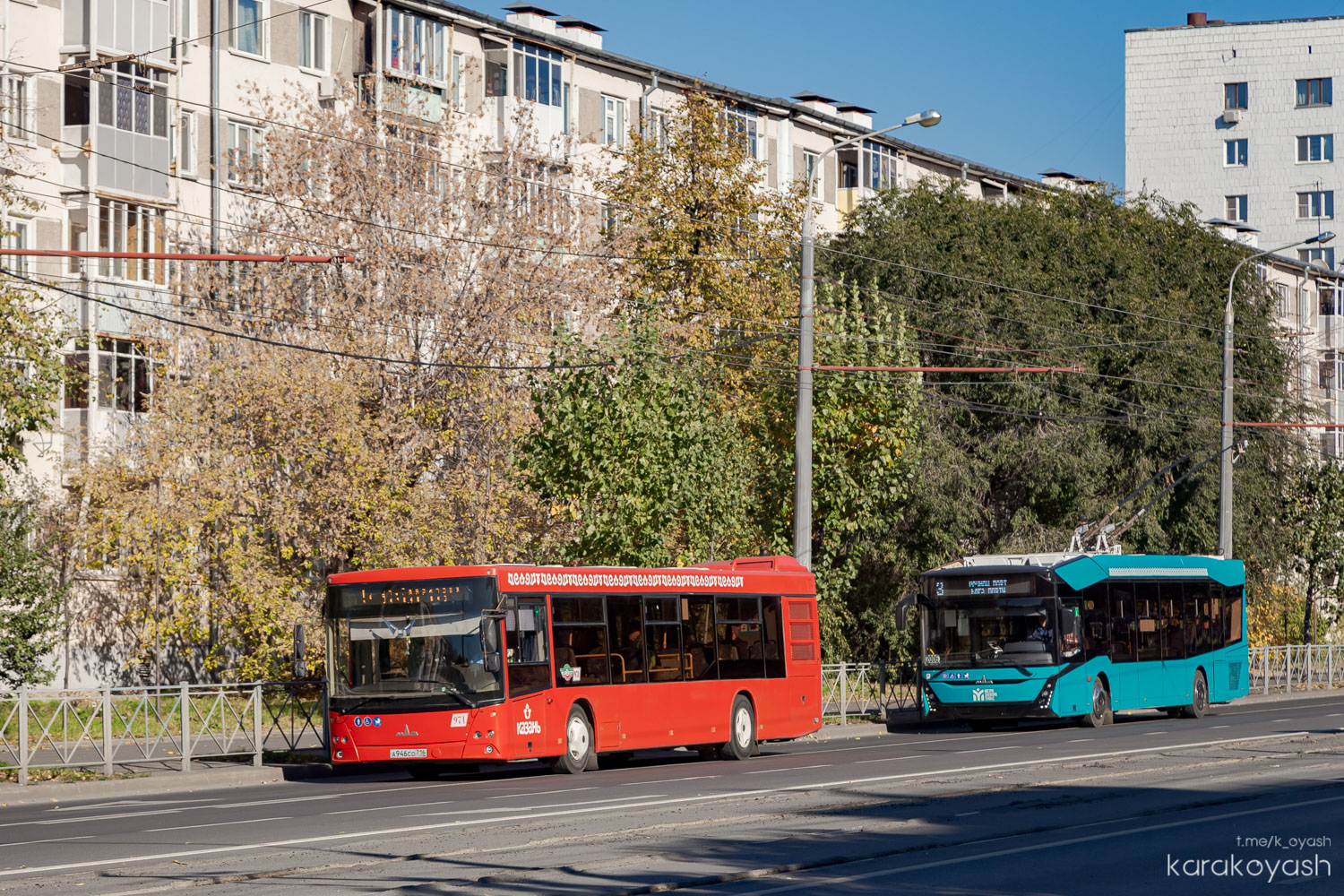 Татарстан, МАЗ-203.069 № 971