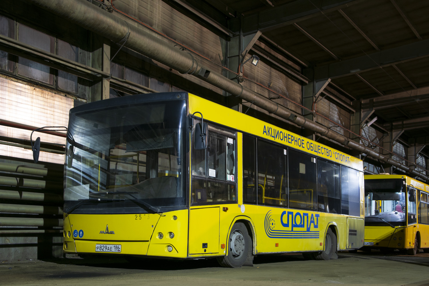 Ханты-Мансийский АО, МАЗ-206.068 № 2533