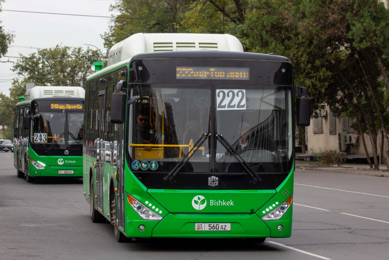 Кыргызстан, Zhong Tong LCK6105HGC Fashion № 01 560 AZ