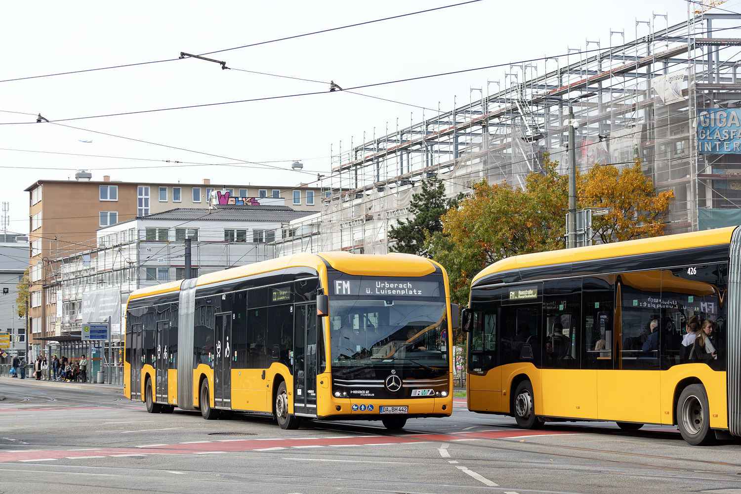 Гессен, Mercedes-Benz eCitaro G № 442