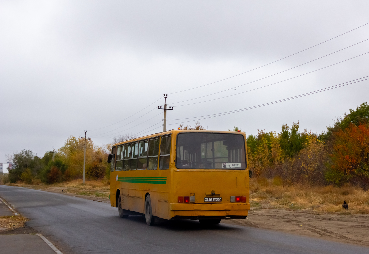 Саратовская область, Ikarus 260 (280) № Х 548 КР 64