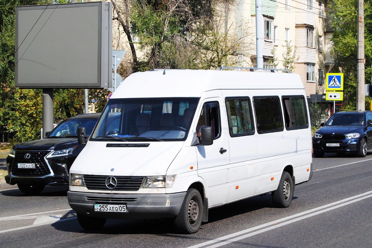 Алматинская область, Mercedes-Benz Sprinter W903 312D № 255 AEQ 05