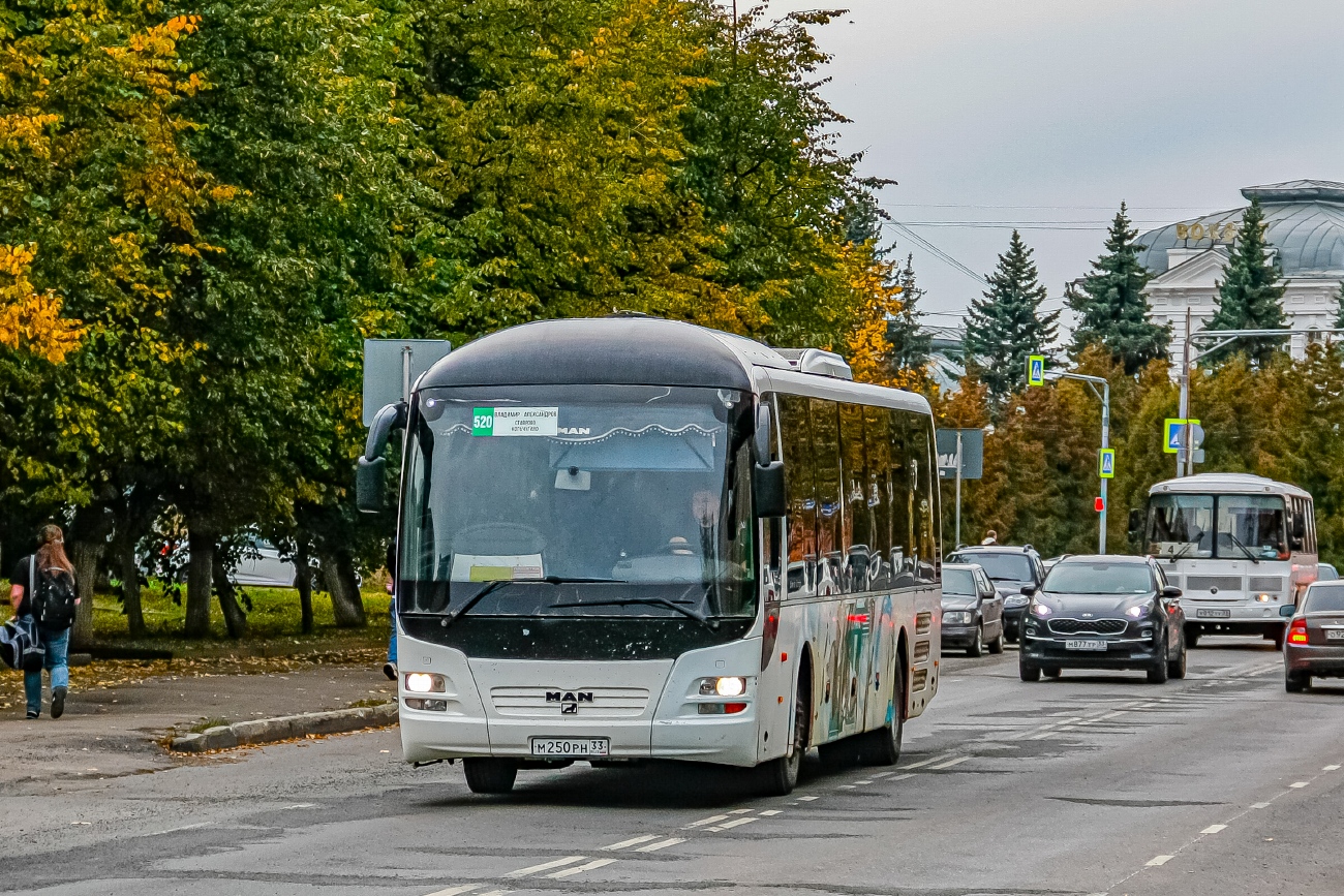 Владимирская область, MAN R12 Lion's Regio ÜL314 № М 250 РН 33