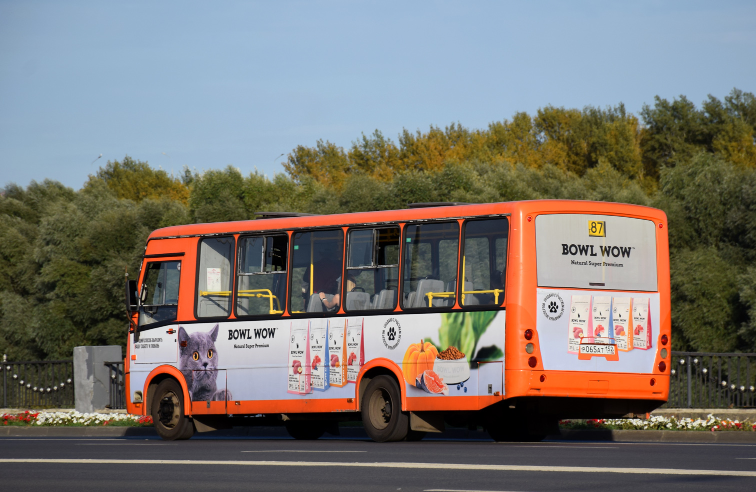 Нижегородская область, ПАЗ-320414-05 "Вектор" № Р 065 АТ 152