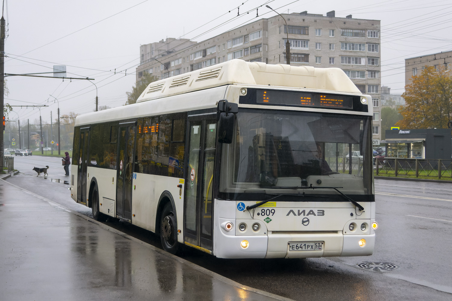 Новгородская область, ЛиАЗ-5292.67 (CNG) № 809