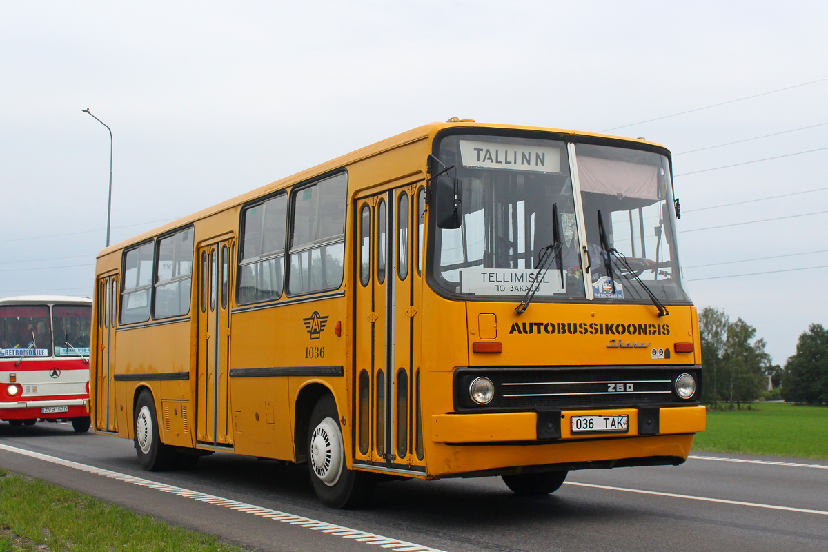 Эстония, Ikarus 260.37 № 1036; Литва — Baltijos kelias 35 | The Baltic Way 35