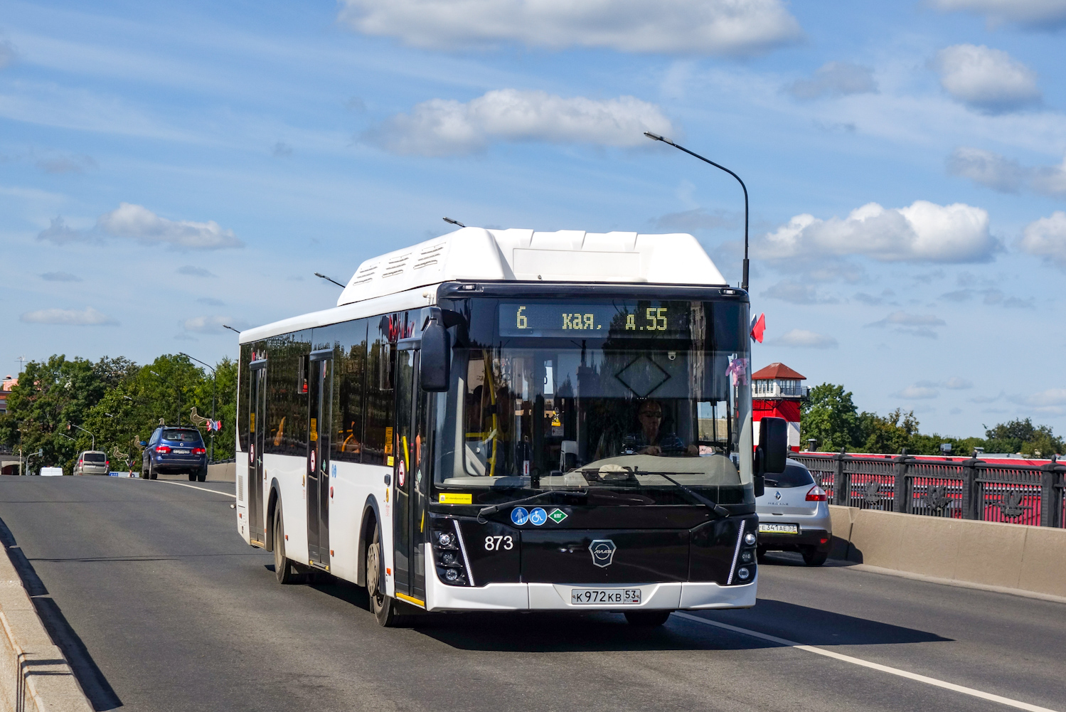Новгородская область, ЛиАЗ-5292.67 (CNG) № 873