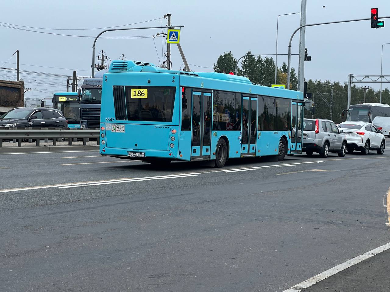 Санкт-Петербург, МАЗ-203.047 № 8547