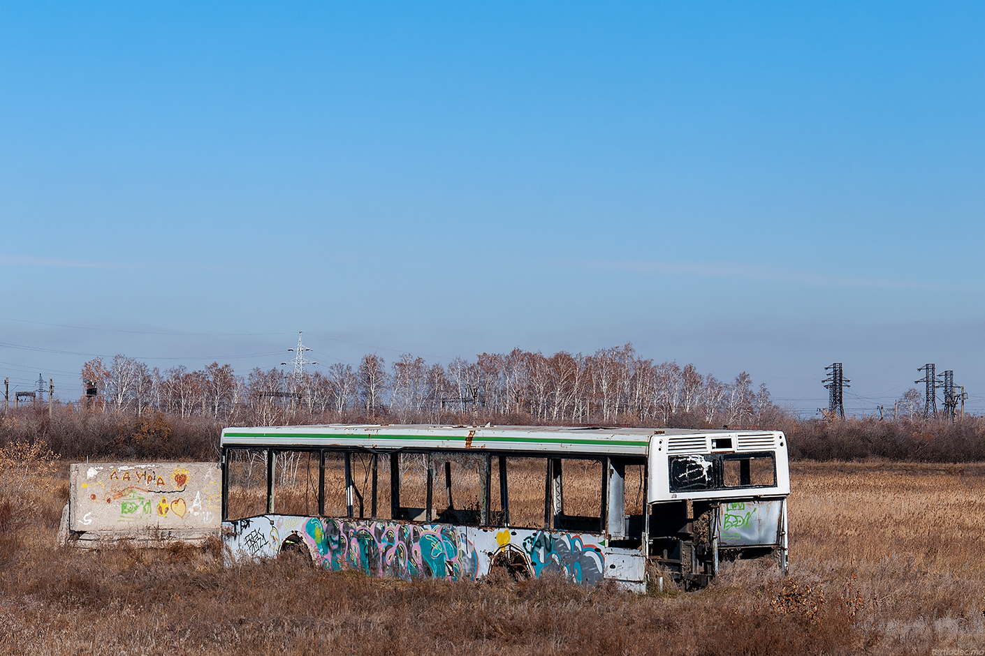 Новосибирская область, ЛиАЗ-5292.20 № У 644 ВР 55