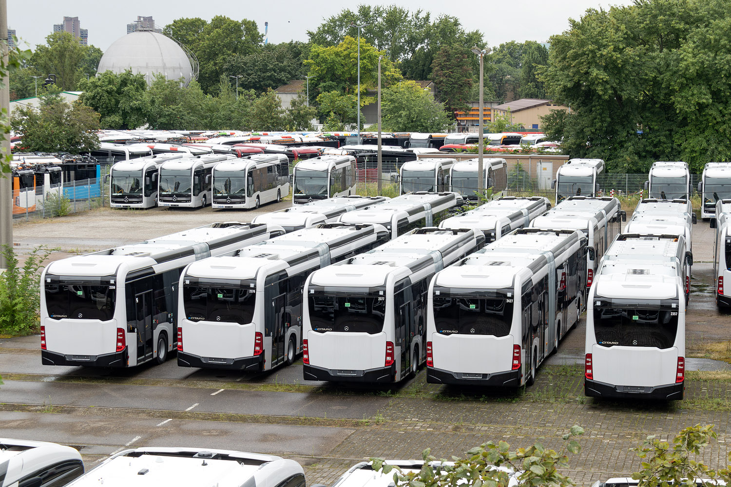 Гамбург, Mercedes-Benz eCitaro G № 2427; Баден-Вюртемберг, Mercedes-Benz eCitaro G № MA-MB 4000; Баден-Вюртемберг — Новые автобусы Mercedes / Setra [без номеров]