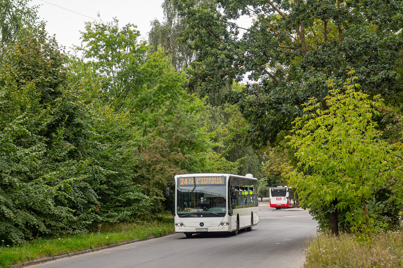 Калининградская область, Mercedes-Benz Conecto II № С 242 НТ 39