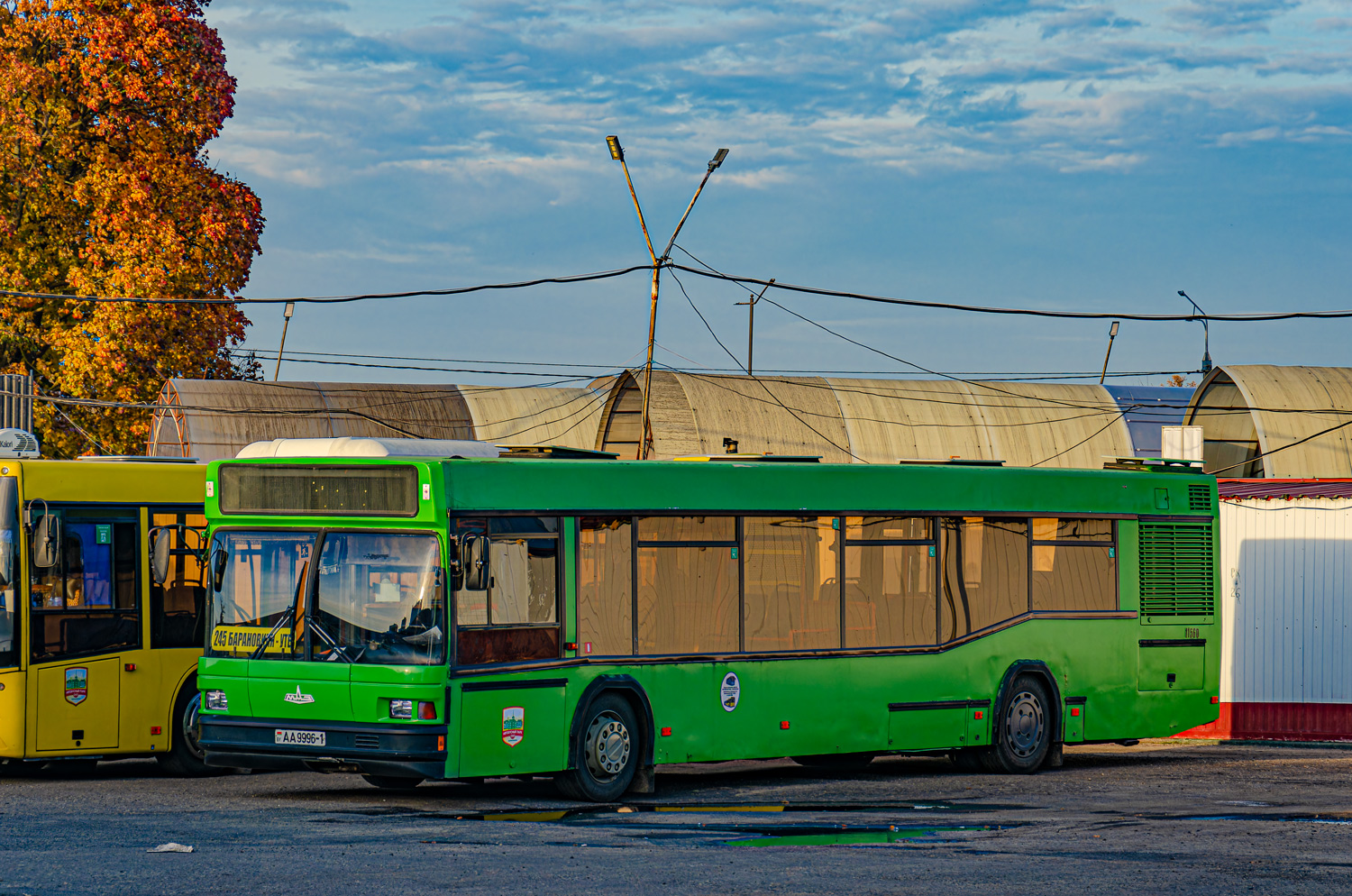 Брестская область, МАЗ-103.065 № 11560