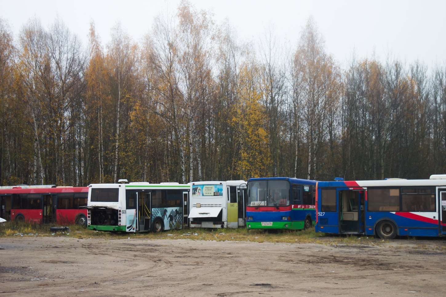 Yaroslavl region, LiAZ-5292.65 № 332; Yaroslavl region, LiAZ-5256.60 № 683; Yaroslavl region, LiAZ-5256.53 № 668