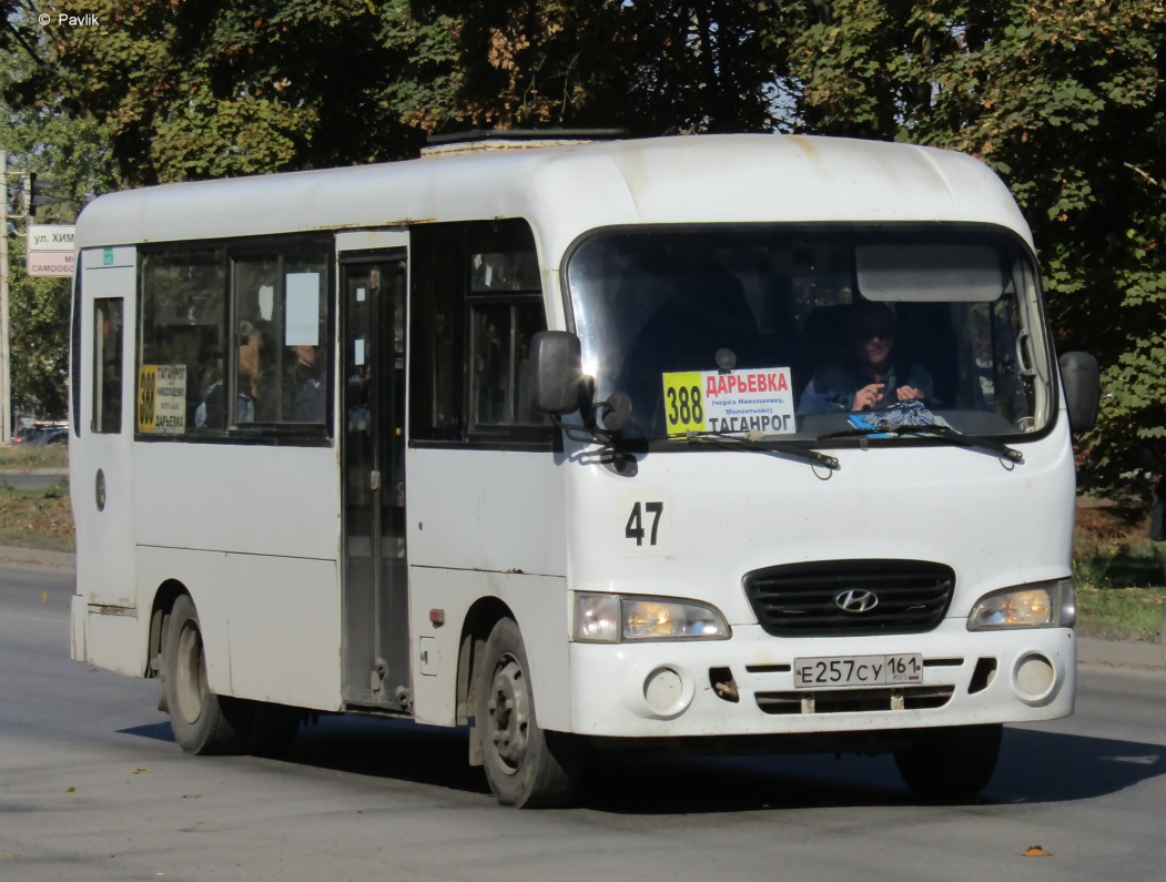 Ростовская область, Hyundai County LWB C09 (ТагАЗ) № 47