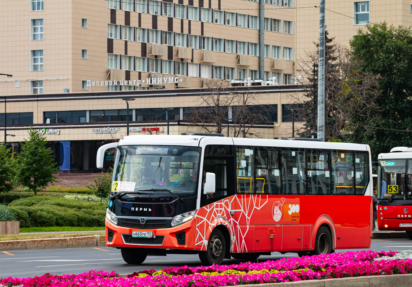 Пермский край, ПАЗ-320415-04 "Vector Next" № Н 663 РВ 159