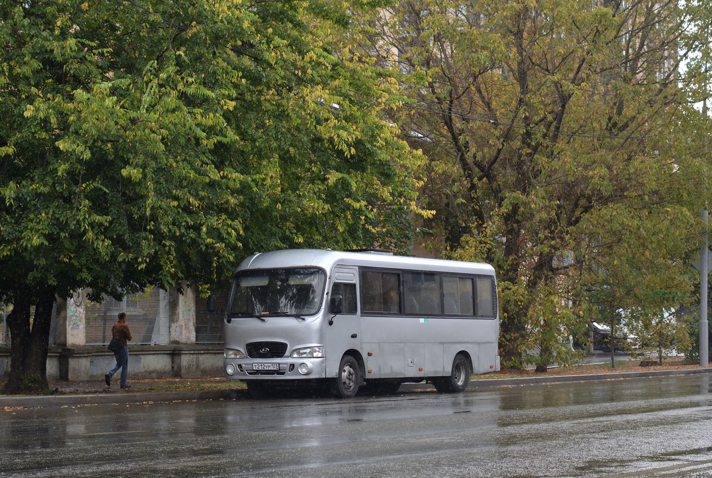 Краснодарский край, Hyundai County LWB C11 (ТагАЗ) № Т 212 УР 123