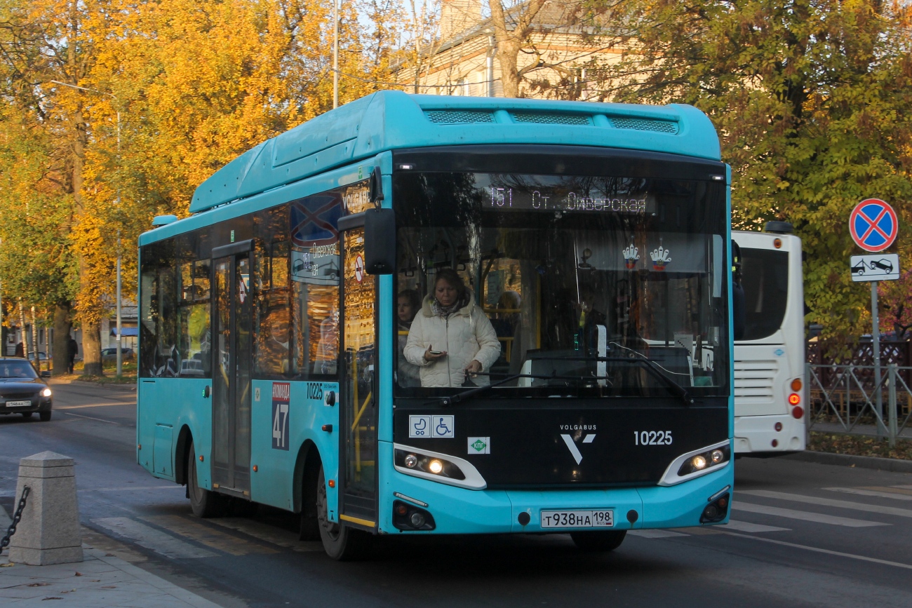 Ленинградская область, Volgabus-4298.G4 (CNG) № 10225