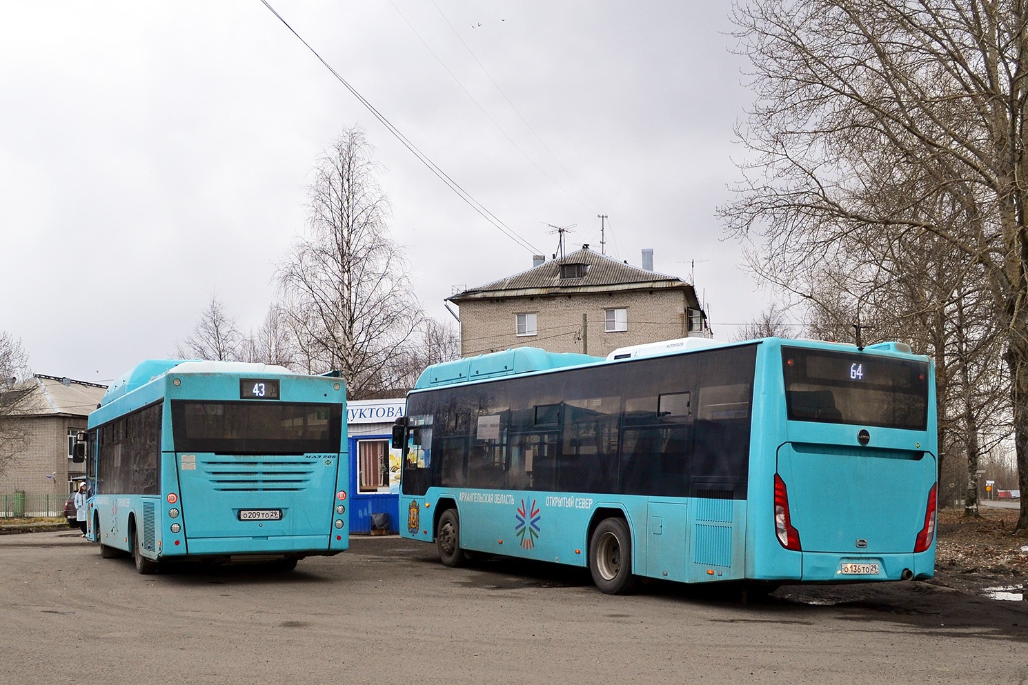 Архангельская область, МАЗ-206.948 № О 209 ТО 29; Архангельская область, Lotos-105C02 № О 136 ТО 29