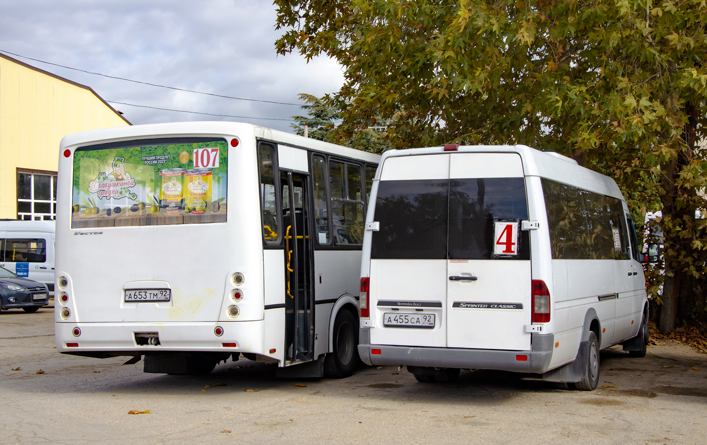 Севастополь, Луидор-223237 (MB Sprinter Classic) № А 455 СА 92