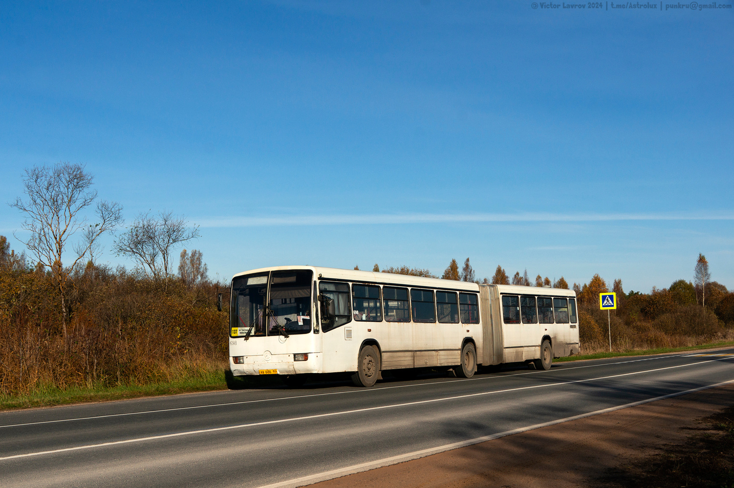 Псковская область, Mercedes-Benz O345G № 698