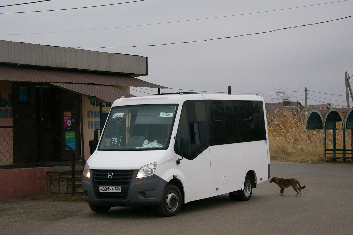 Волгоградская область, ГАЗ-A64R45 Next № М 801 ХР 134