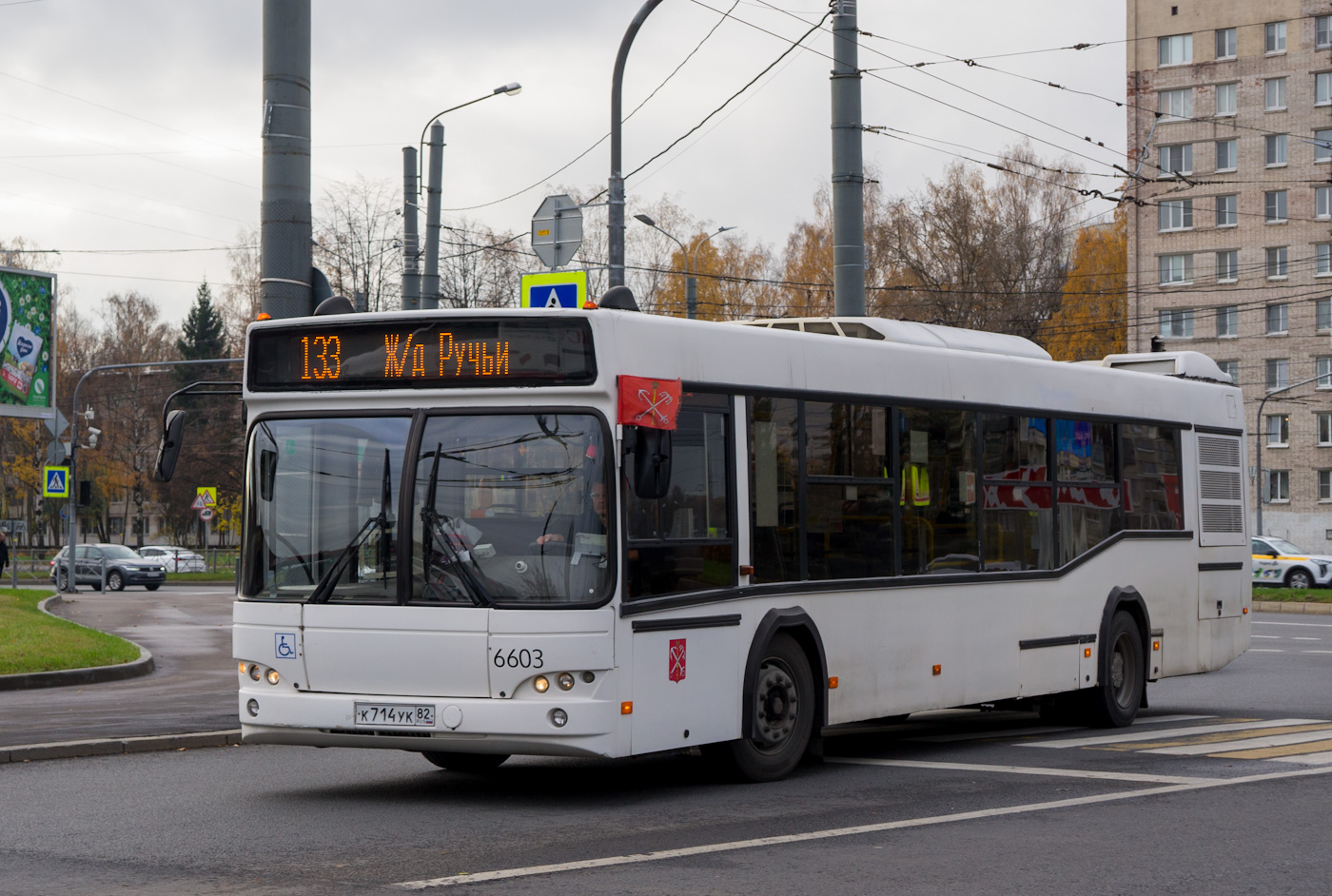 Санкт-Петербург, МАЗ-103.486 № 6603