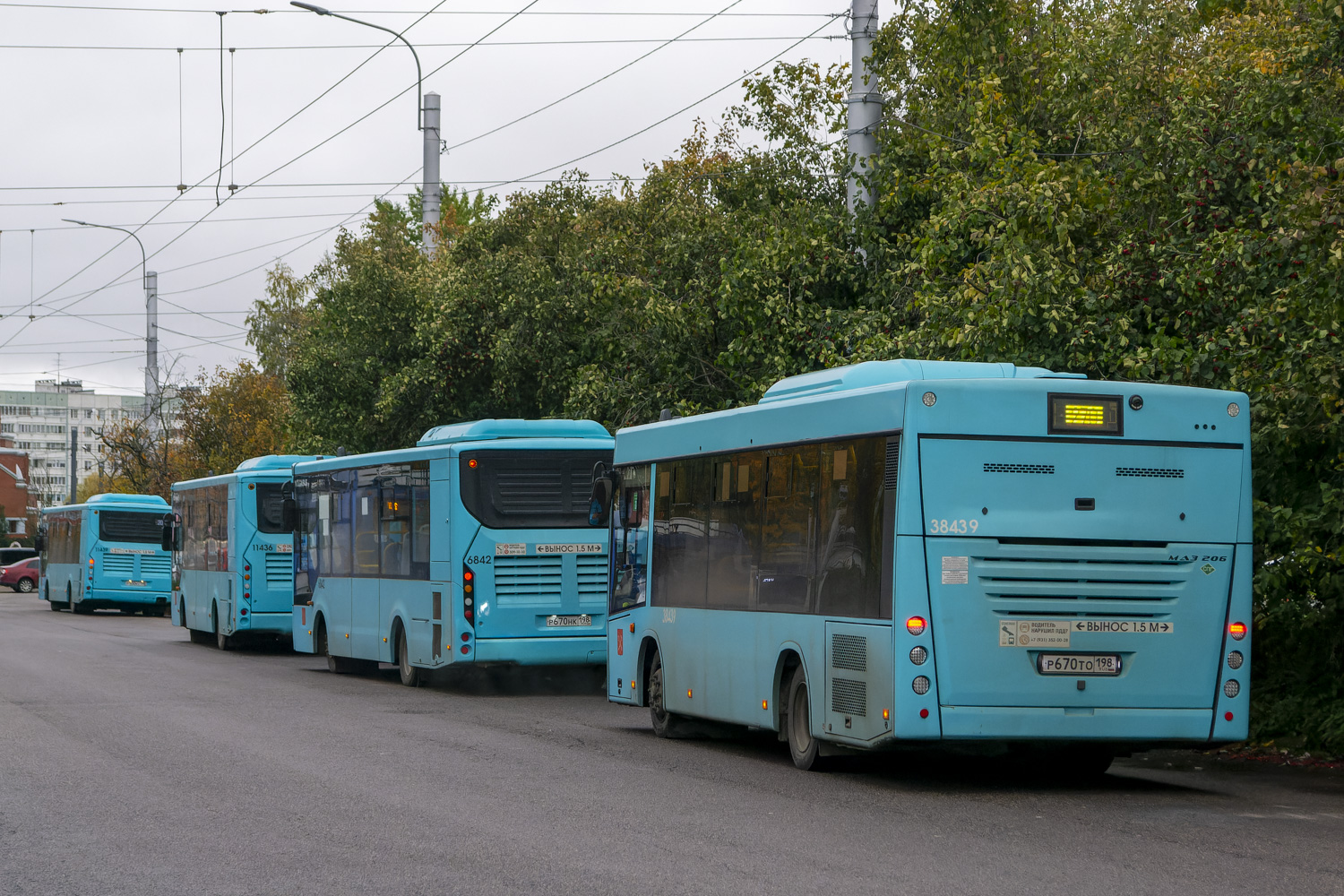 Санкт-Петербург, МАЗ-206.947 № 38349