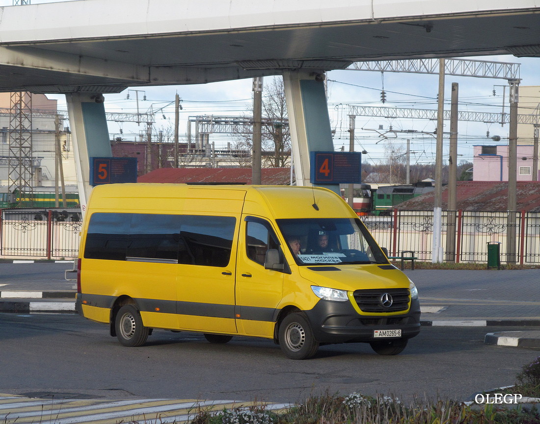 Могилёвская область, Mercedes-Benz Sprinter W907 314CDI № АМ 0256-6