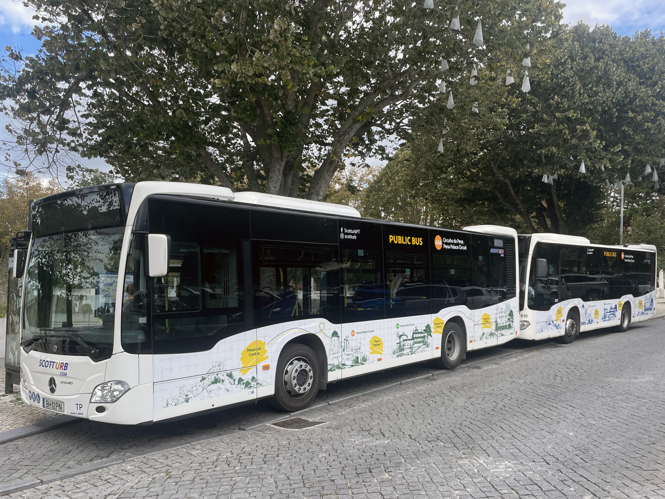 Португалия, Mercedes-Benz Citaro C2 K hybrid № 833