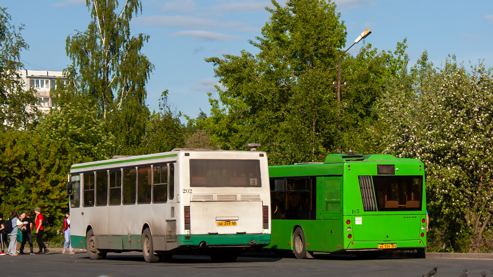 Псковская область, ЛиАЗ-5256.26 № 202