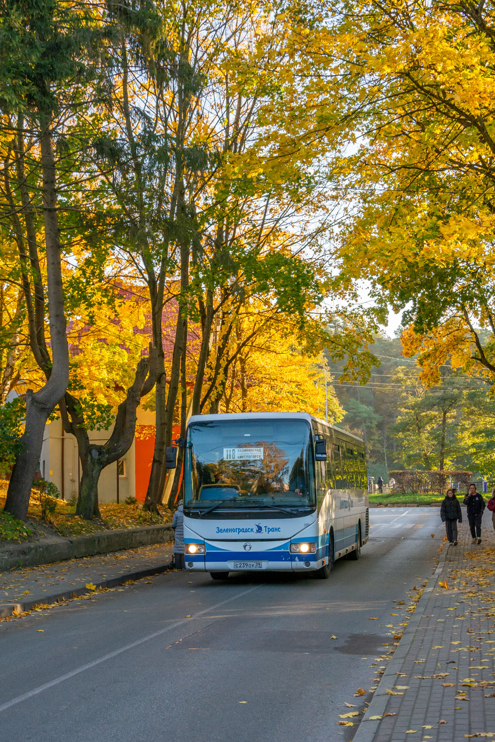 Калининградская область, Irisbus Récréo 12M № 23