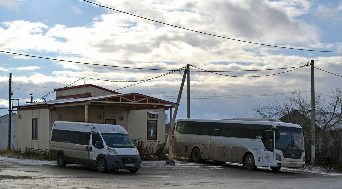 Самарская область, Нижегородец-FST523 (FIAT Ducato) № С 407 ОК 116; Самарская область, Hyundai Universe Space Luxury № С 813 АЕ 163; Самарская область — Автовокзалы, автостанции и конечные остановки