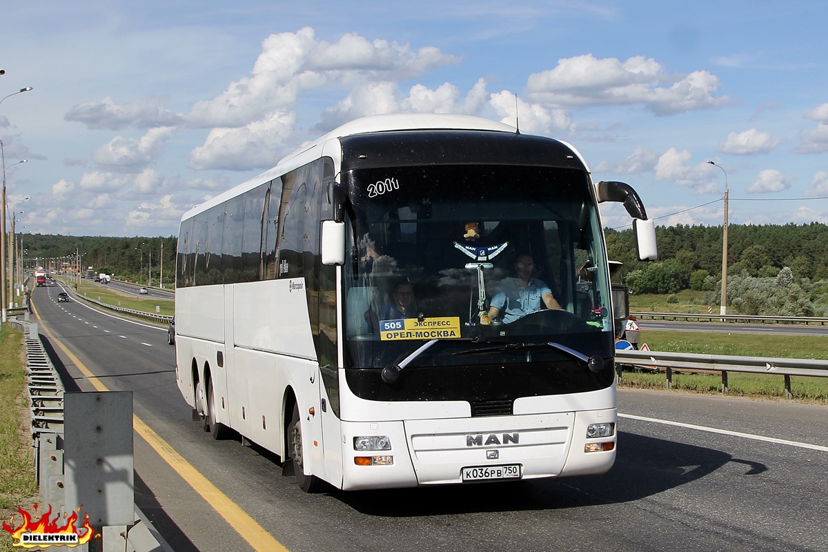 Орловская область, MAN R08 Lion's Coach L / Top Coach № К 036 РВ 750