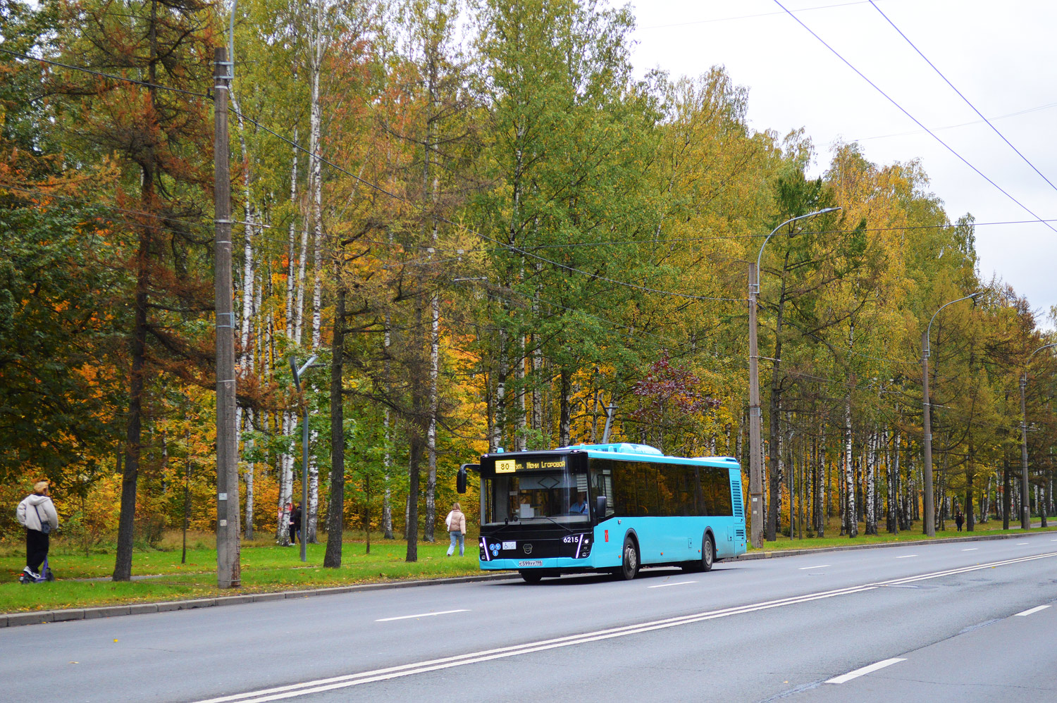 Санкт-Петербург, ЛиАЗ-5292.65 № 6215