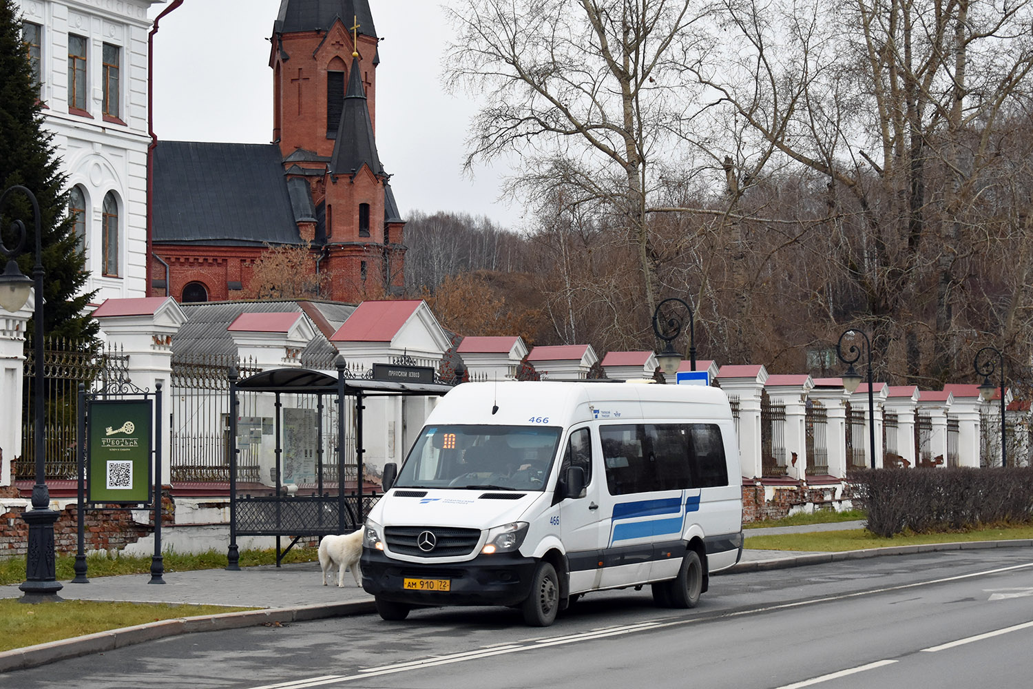 Тюменская область, Луидор-22360C (MB Sprinter) № 466