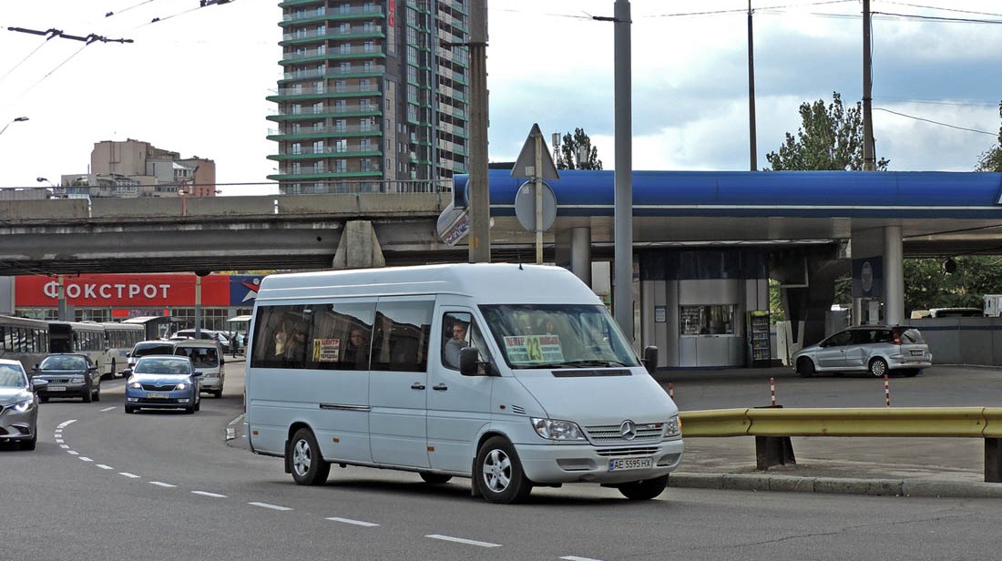 Днепропетровская область, Mercedes-Benz Sprinter W903 313CDI № AE 5595 HX