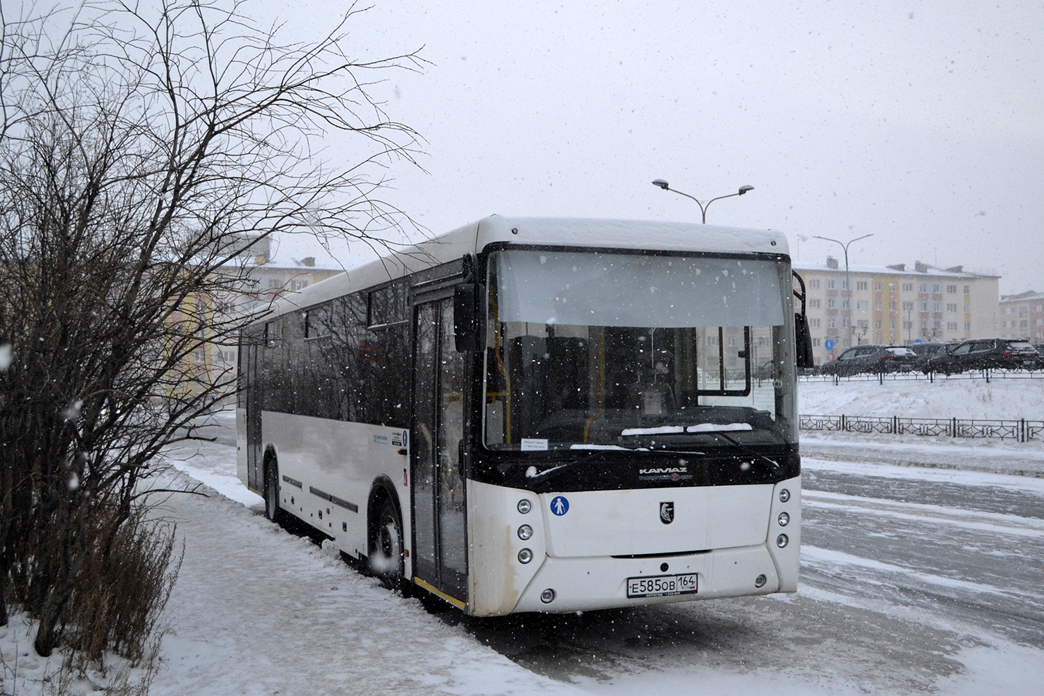 Красноярский край, НефАЗ-5299-11-52 № Е 585 ОВ 164