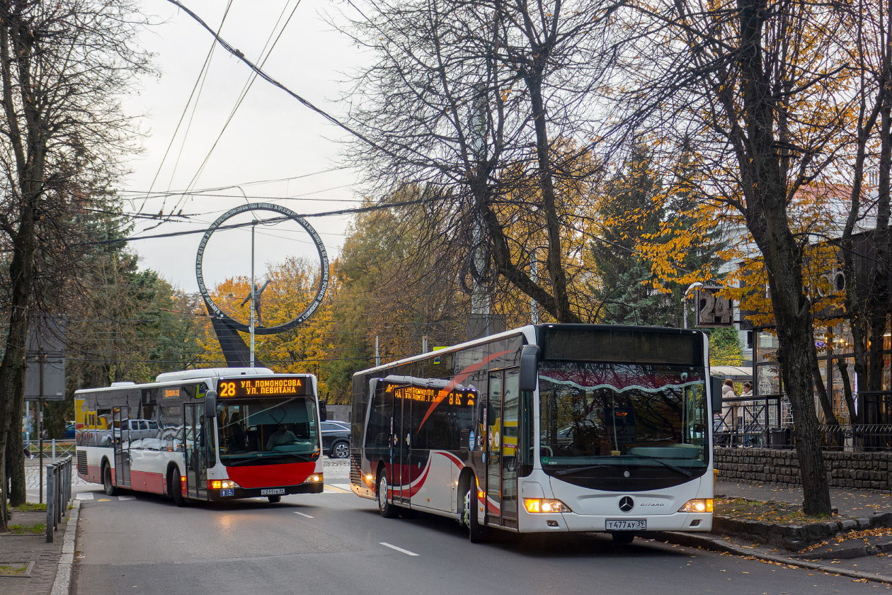 Калининградская область, Mercedes-Benz O530 Citaro facelift № С 211 ТВ 39; Калининградская область, Mercedes-Benz O530 Citaro facelift № Т 477 АУ 39