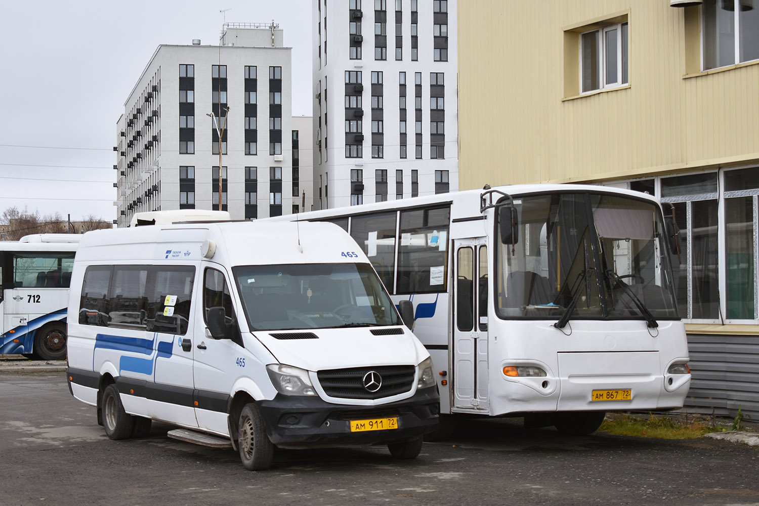 Тюменская область, Луидор-22360C (MB Sprinter) № 465; Тюменская область — Автобусные предприятия