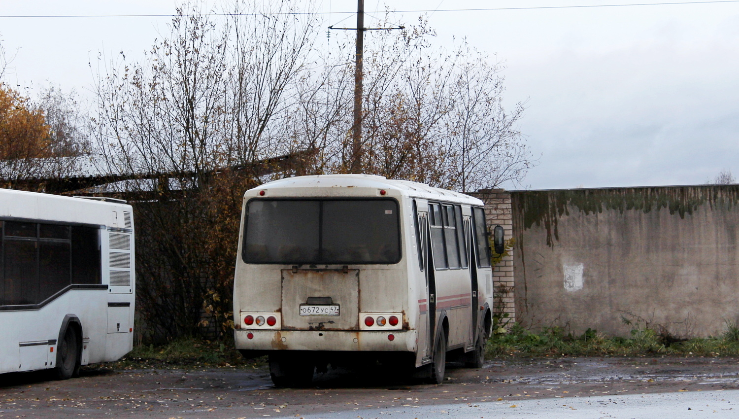 Ленинградская область, ПАЗ-4234-05 № О 672 УС 47