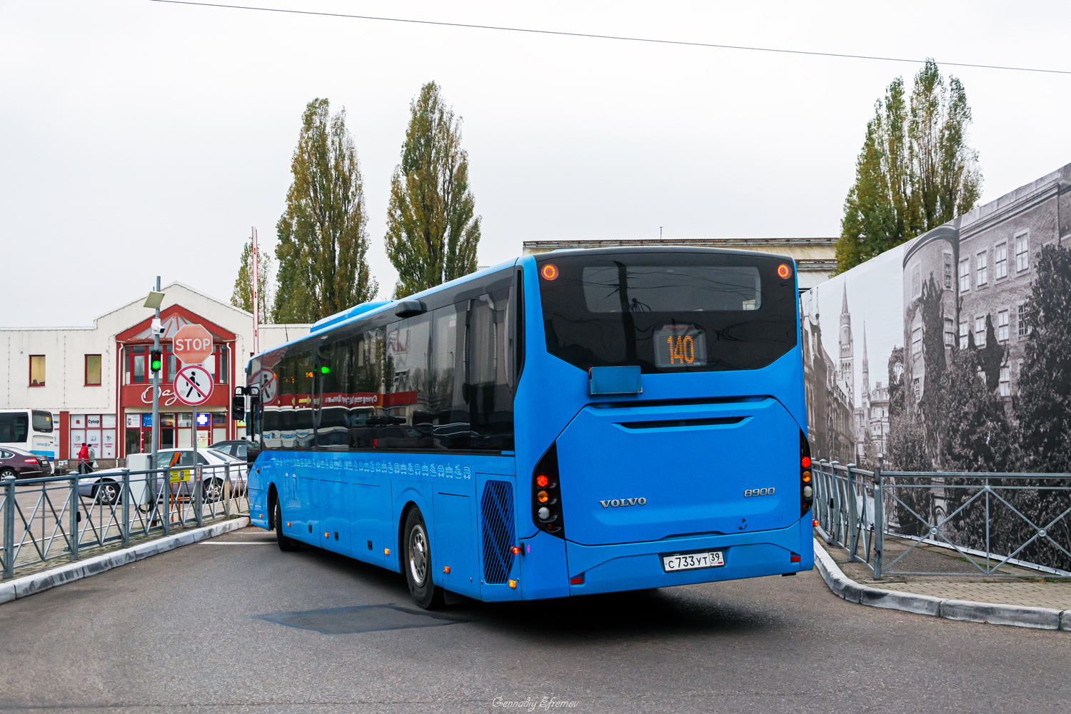 Калининградская область, Volvo 8900 № С 733 УТ 39