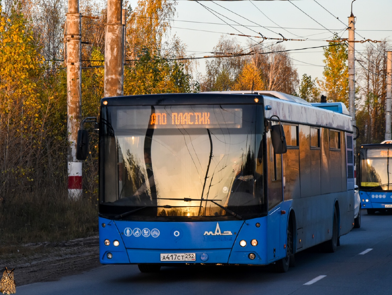 Нижегородская область, МАЗ-203.069 № А 417 СТ 252