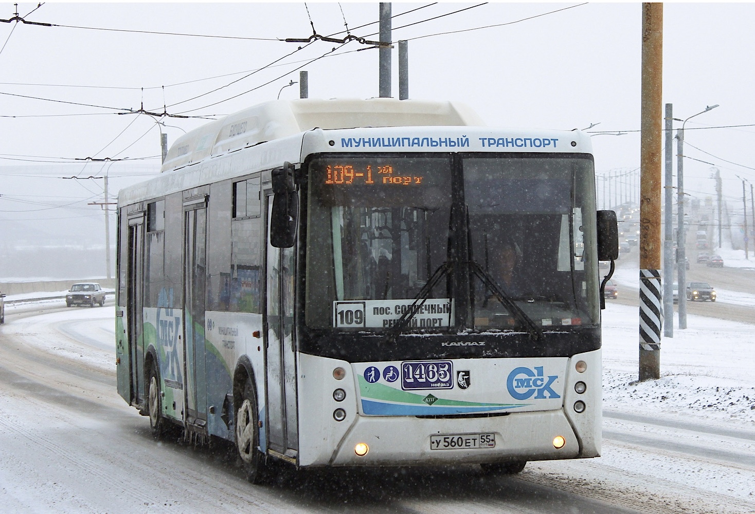 Omsk region, NefAZ-5299-30-56 Nr. 1465