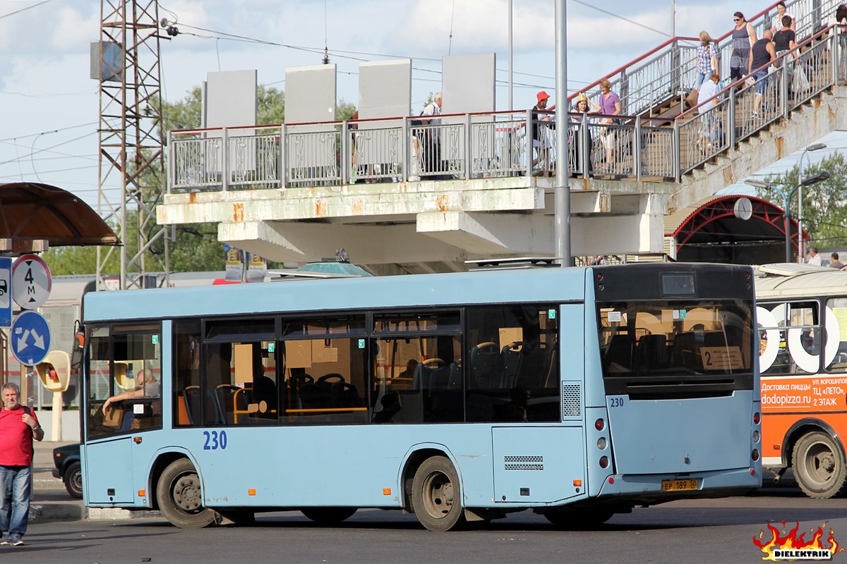 Московская область, МАЗ-206.085 № 230